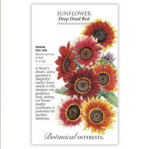Sunflower Seeds – Botanical Interests – Drop Dead Red (Large)