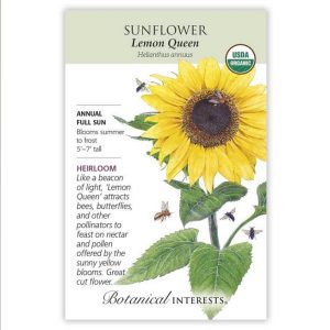 Sunflower Seeds – Botanical Interests – Lemon Queen (Organic)