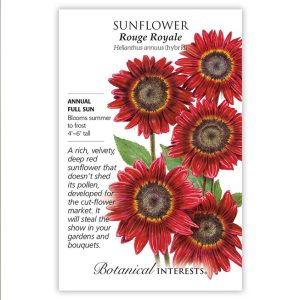 Sunflower Seeds – Botanical Interests – Rouge Royale