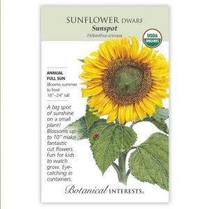 Dwarf Sunflower Seeds – Botanical Interests – Sunspot (Organic)