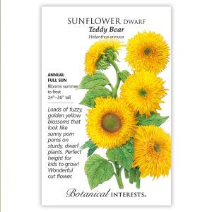 Dwarf Sunflower Seeds – Botanical Interests – Teddy Bear