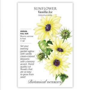 Sunflower Seeds – Botanical Interests – Vanilla Ice