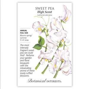 Sweet Pea Seeds – Botanical Interests – High Scent