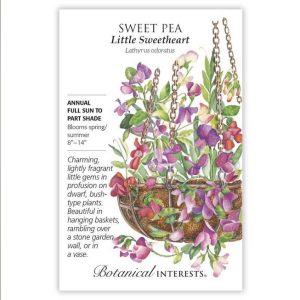 Sweet Pea Seeds – Botanical Interests – Little Sweatheart