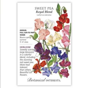 Sweet Pea Seeds – Botanical Interests – Royal Blend