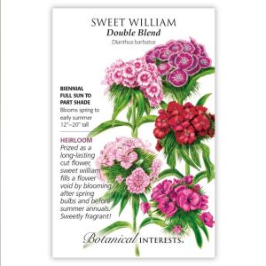 Sweet William Seeds – Botanical Interests – Double Blend