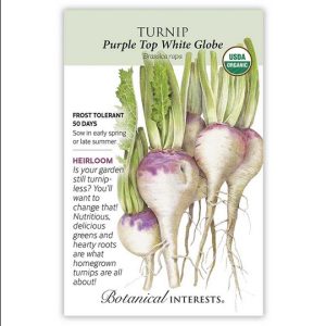 Turnip Seeds – Botanical Interests – White Globe Purple Top (Organic)