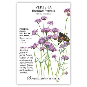 Verbena Seeds – Botanical Interests – Brazilian Vervain