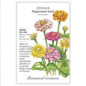 Zinnia Seeds – Botanical Interests – Peppermint Stick