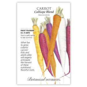 Carrot Seeds – Botanical Interests – Calliope Blend
