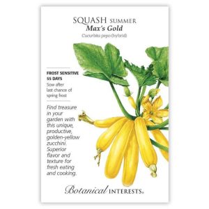 Summer Squash Seeds – Botanical Interests – Max’s Gold