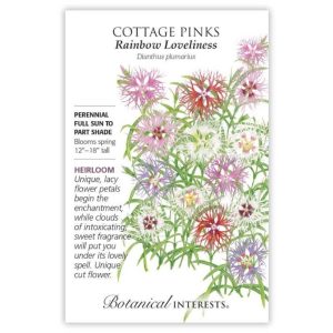 Cottage Pinks Seeds – Botanical Interests – Rainbow Loveliness