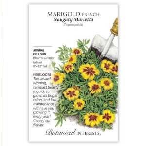 French Marigold Seeds – Botanical Interests – Naughty Marietta
