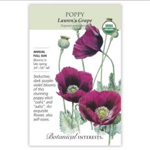 Poppy Seeds – Botanical Interests – Lauren’s Grape (Organic)