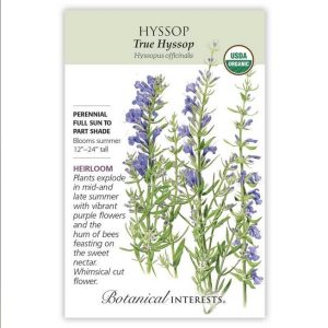 Hyssop Seeds – Botanical Interests – True Hyssop (Organic)