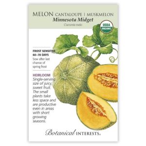 Cantaloupe / Muskmelon Seeds – Botanical Interests – Minnesota Midget (Organic)