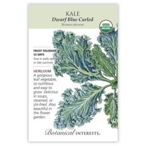 Kale Seeds – Botanical Interests – Dwarf Blue Curled (Organic)