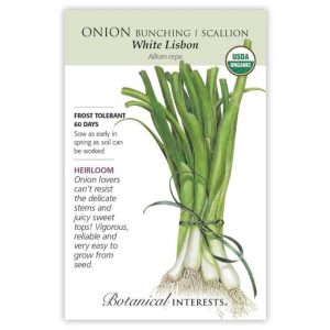 Bunching / Scallion Onion Seeds – Botanical Interests – White Lisbon (Organic)
