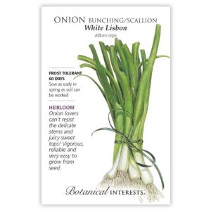 Bunching / Scallion Onion Seeds – Botanical Interests – White Lisbon