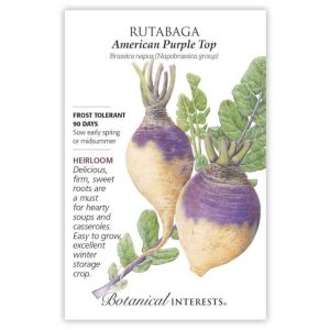Rutabaga Seeds – Botanical Interests – American Purple Top