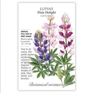 Lupine Seeds – Botanical Interests – Pixie Delight