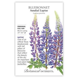 Bluebonnet Seeds – Botanical Interests – Sundial Lupine