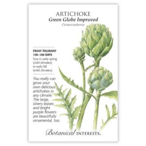 Botanical Interests – Artichoke – Green Globe Improved Seeds