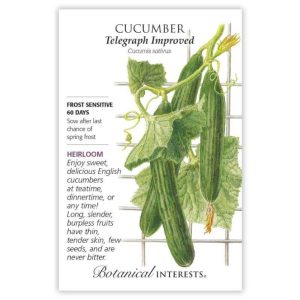Cucumber Seeds – Botanical Interests – Telegraph Improved