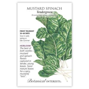Mustard Seeds – Botanical Interests – Spinach Tendergreen