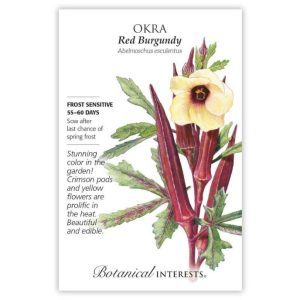 Okra Seeds – Botanical Interests – Red Burgundy