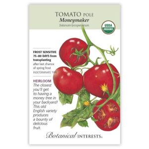 Pole Tomato Seeds – Botanical Interests – Moneymaker (Organic)