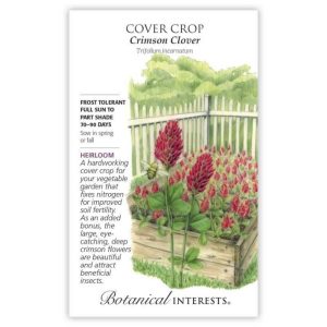 Cover Crop Seeds – Botanical Interests – Crimson Clover