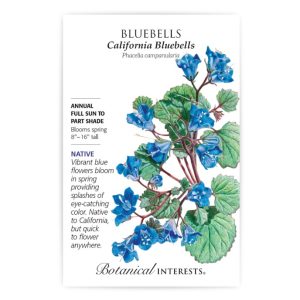 Bluebells Seeds – Botanical Interests – California Bluebells