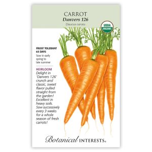 Carrot Seeds – Botanical Interests – Danvers 126 (Large, Organic)