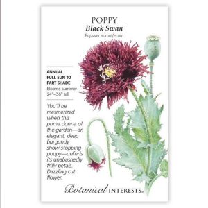 Poppy Seeds – Botanical Interests – Black Swan