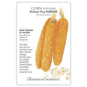 Popcorn Corn Seeds – Botanical Interests – Robust Pop R400MR
