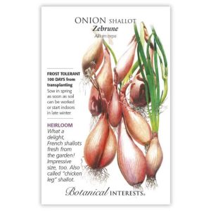 Shallot Onion Seeds – Botanical Interests – Zebrune