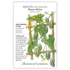Cucamelon Melon Seeds – Botanical Interests – Mouse Melon