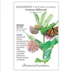 Milkweed / Butterfly Flower Seeds – Botanical Interests – Common Milkweed