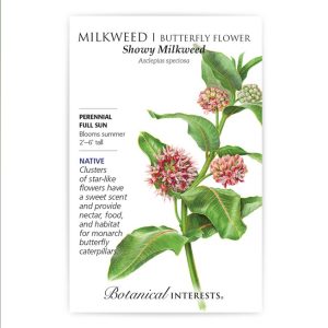 Milkweed / Butterfly Flower Seeds – Botanical Interests – Showy Milkweed