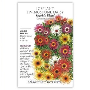 Iceplant (Livingstone Daisy) Seeds – Botanical Interests – Sparkle Blend