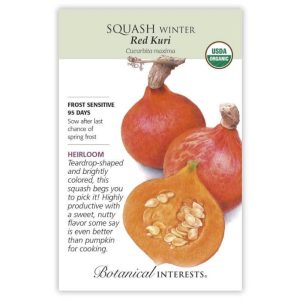 Winter Squash Seeds – Botanical Interests – Red Kuri (Organic)