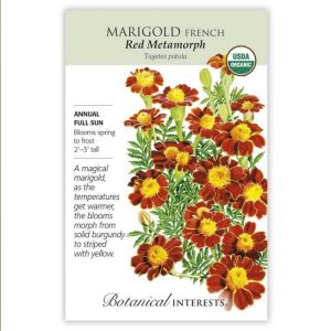 French Marigold Seeds – Botanical Interests – Red Metamorph (Organic)