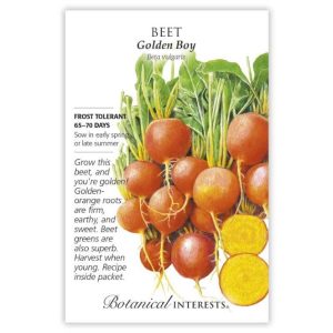 Beet Seeds – Botanical Interests – Golden Boy