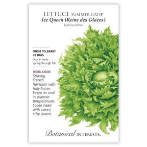 Summer Crisp Lettuce Seeds – Botanical Interests – Ice Queen (Reine des Glaces)