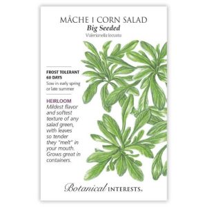 Mâche (Corn Salad) Seeds – Botanical Interests – Big Seeded