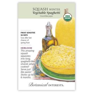 Winter Squash Seeds – Botanical Interests – Vegetable Spaghetti (Organic)