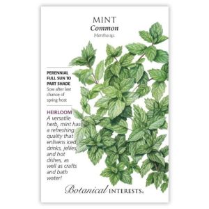 Mint Seeds – Botanical Interests – Common