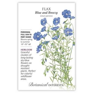 Flax Seeds – Botanical Interests – Blue and Breezy