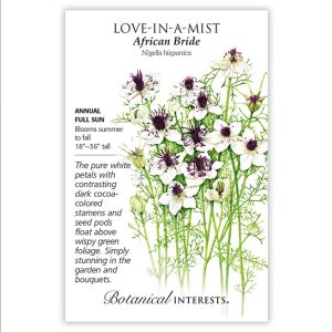 Love-in-a-Mist Seeds – Botanical Interests – African Bride